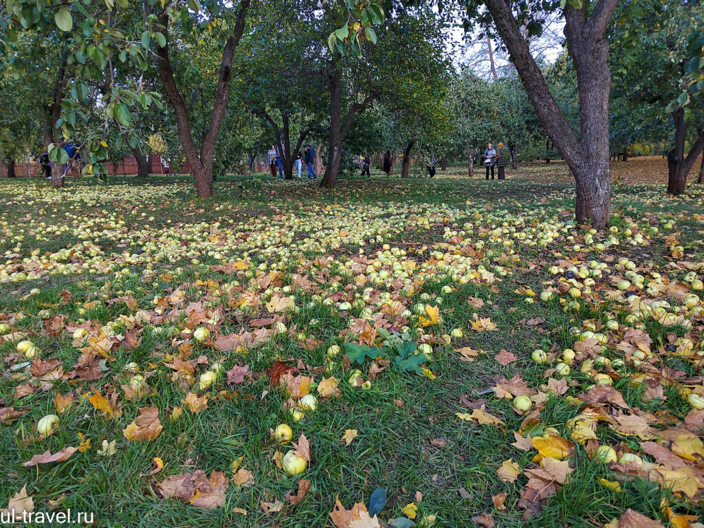 Болдинская осень