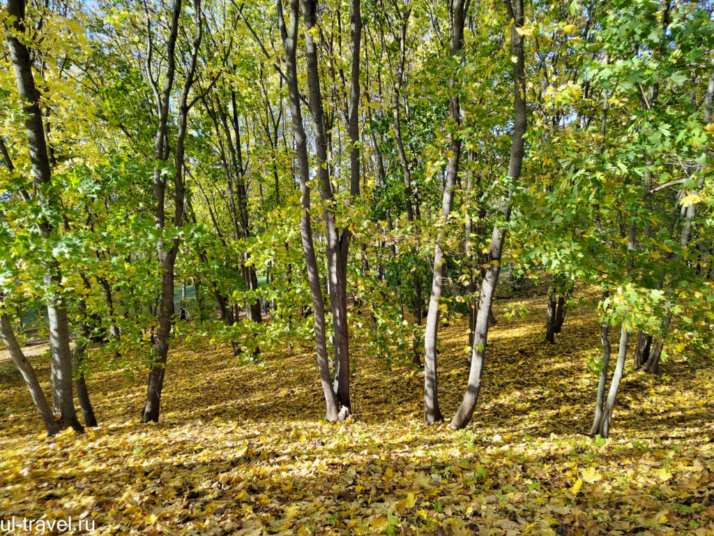 Болдинская осень